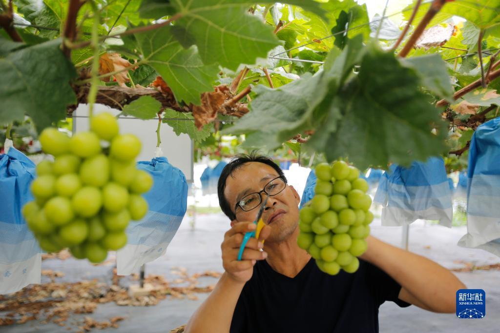 菲达娱乐44616